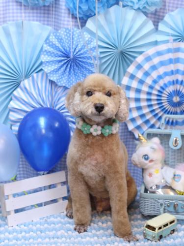 20231121アルトくん